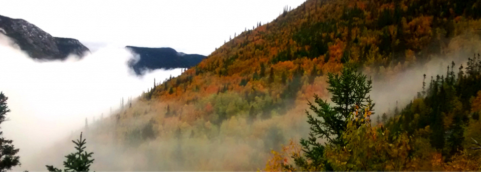 Hautes Gorges de la rivière Malbaie - automne