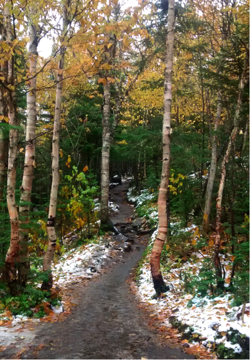 Sentier Acropole des draveurs Hautes Gorges de la rivière Malbaie